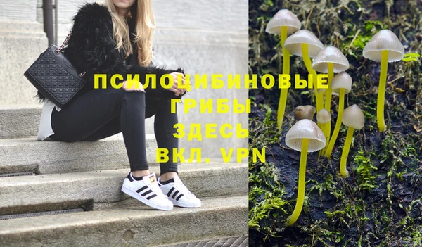 дживик Арсеньев