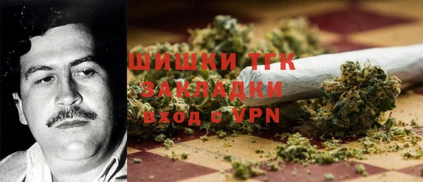 дживик Арсеньев